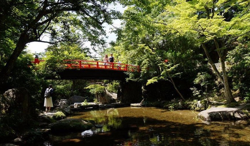 Miyajima Natural Botanical Garden, Hiroshima University, Japan